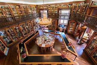 Municipal Library